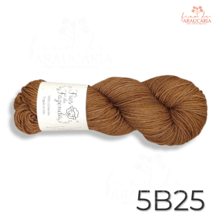 Kit Gorro Araucária (5B25)