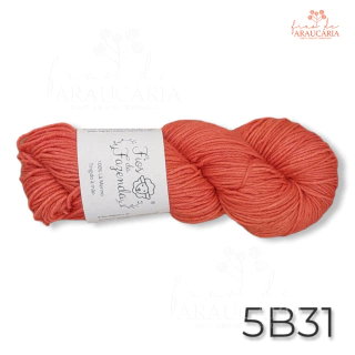 Kit Gorro Araucária (5B31)