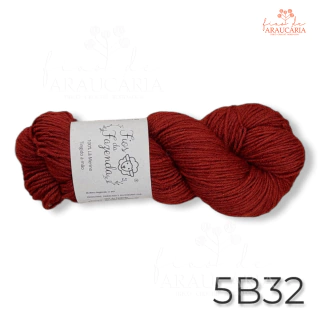 Kit Gorro Araucária (5B32)