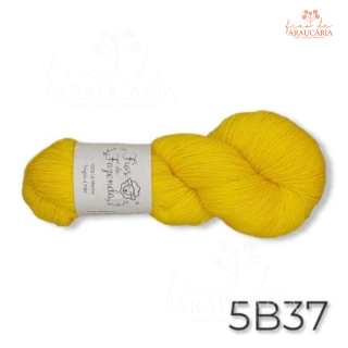 Kit Gorro Araucária (5B37)