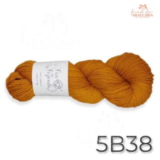 Kit Gorro Araucária (5B38)