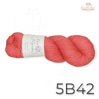 Kit Gorro Araucária (5B42)