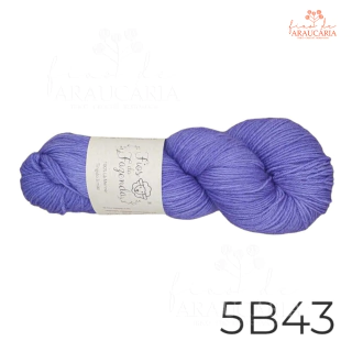 Kit Gorro Araucária (5B43)