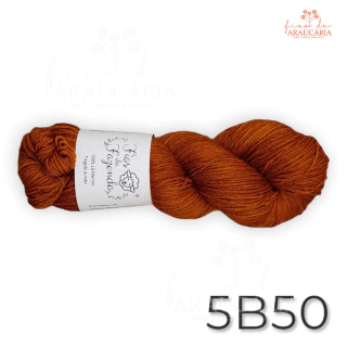 Kit Gorro Araucária (5B50)