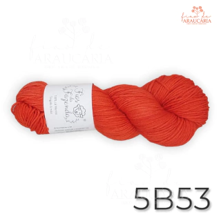 Kit Gorro Araucária (5B53)