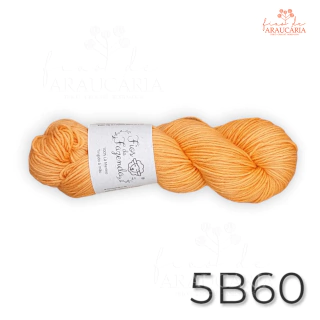 Kit Gorro Araucária (5B60)