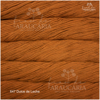Malabrigo Rios (647 Dulce de Leche)
