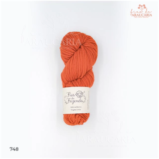 Kit Colete Araucária (P ou M (4 meadas), 748)