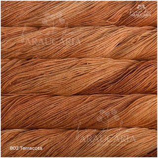 Malabrigo Sock (802 Terracota)