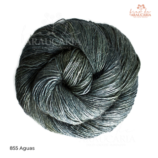 Malabrigo Susurro (855 Aguas)