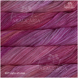 Malabrigo Sock (857 Light of Love)
