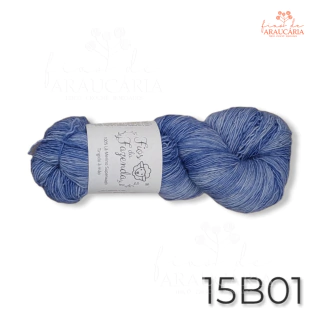 Lã Merino Sur SW (15B01)