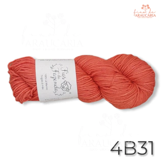 Lã Merino Fingering (4B31)