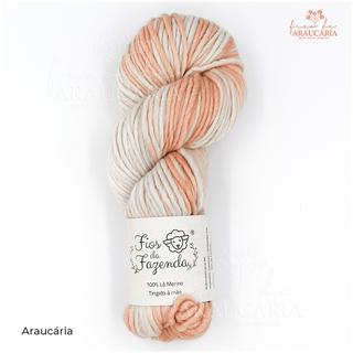 Lã Merino Chunky (Araucária)