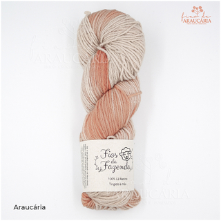 Lã Merino DK (Araucária)