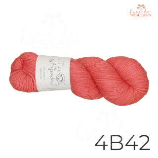 Lã Merino Fingering (4B42)