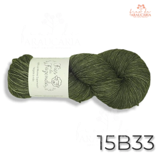 Lã Merino Sur SW (15B33)