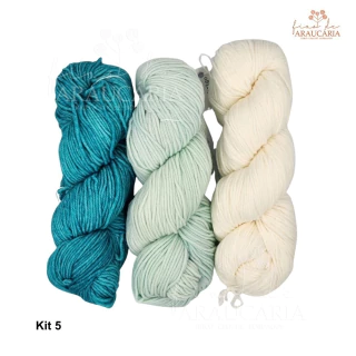 Kit TJ Misterioso Retiro Tricotando Idéias 2025 Malabrigo Rios (Kit 5)