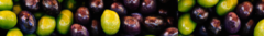 Banner de la categoría Verdes