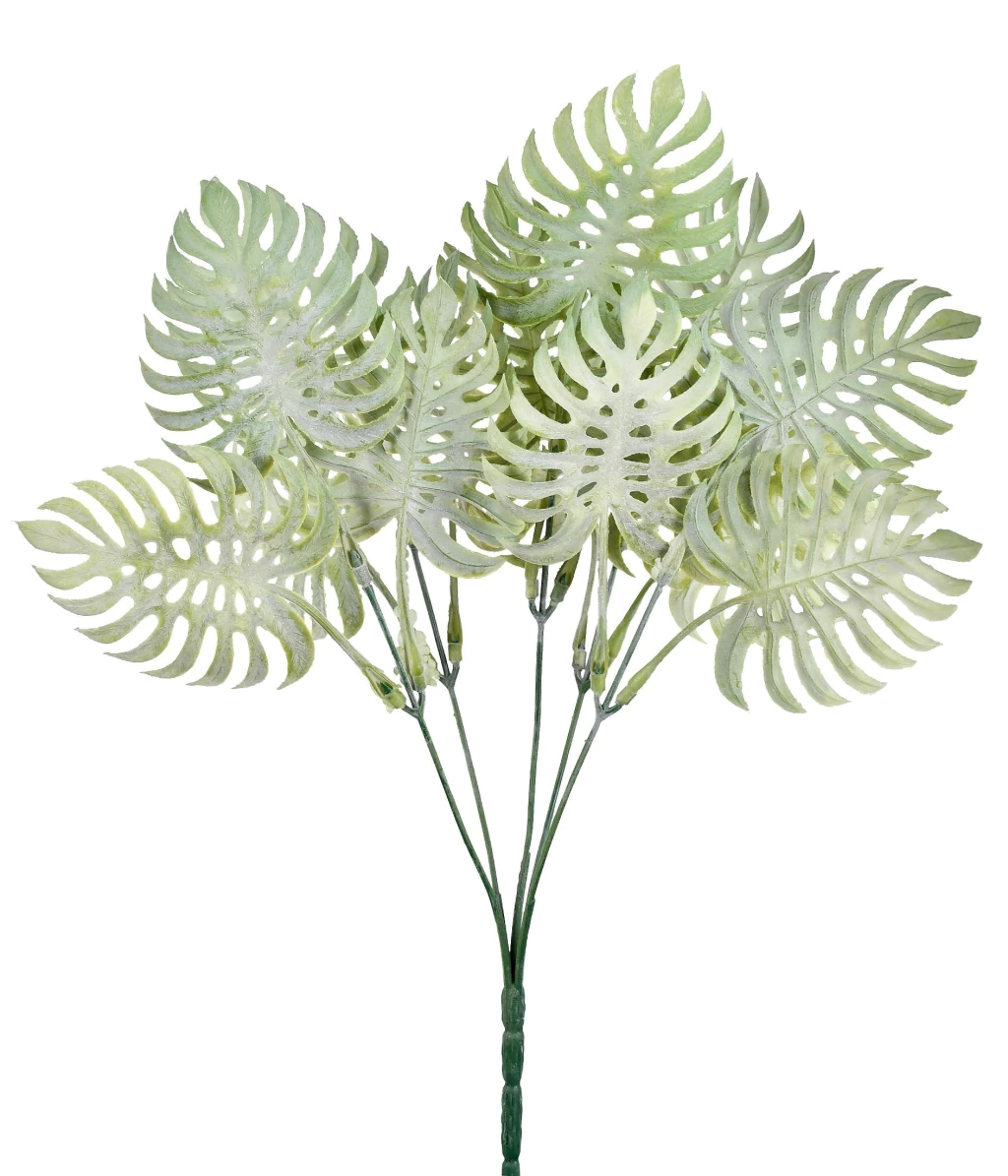Buquê Costela de Adão - Verde