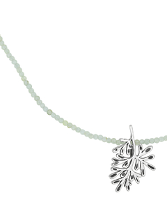 Colar Arruda e Peridoto - comprar online