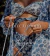 Banner de Nanni Swim - Moda Praia e Moda Fitness