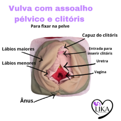 Kit pelve 2 - comprar online