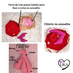 Kit pelve 2 - LIKA