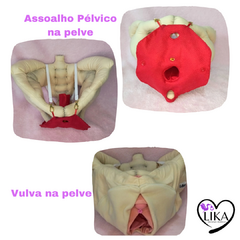 Kit pelve 2 na internet