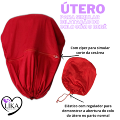Imagem do Kit 4 Fisiologia do parto (bebê RN)