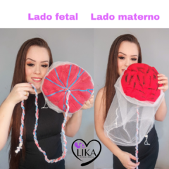 Imagem do Bebê RN + Placenta