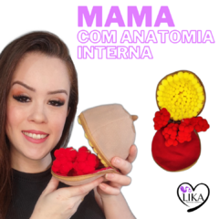 Mama com Anatomia interna (pequena) - comprar online