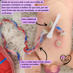 Bebê RN + Placenta - comprar online