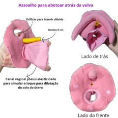Imagem do Kit 10 fisiologia do parto (bebê RN)