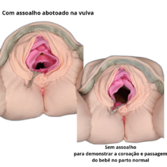 Kit 10 fisiologia do parto (bebê RN) - comprar online