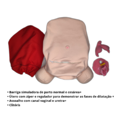 Kit 10 fisiologia do parto (bebê RN) na internet