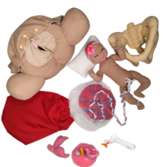 Kit 10 fisiologia do parto (bebê RN)