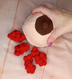 Imagem do Mama com Anatomia interna (pequena)