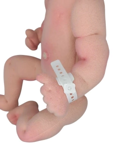 Pulseira de identificação na internet