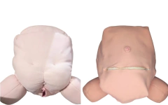 Kit 10 fisiologia do parto (bebê RN) - loja online