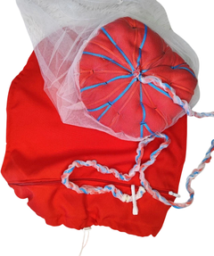 Placenta comum + Útero
