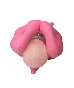 MINI pelve + Feto de 30 cm (OU separados) na internet