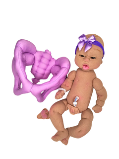 Bebê RN + Pelve