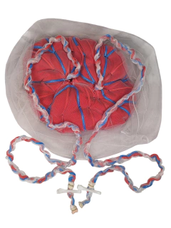 Placenta de gêmeos (1 bolsa/ 1 placenta / 2 cordões)