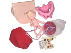 Imagem do MINI KIT ( completo ou itens separados)