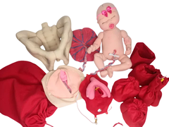 Kit 3 Fisiologia do parto (bebê RN)