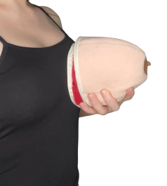 Mama GRANDE com anatomia + músculo para inserir prótese+ prótese de tecido - LIKA