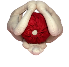 Kit 3 Fisiologia do parto (bebê RN) - comprar online
