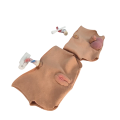Calcinha com genital. Par ou unidade (com OU sem coto umbilical) - comprar online