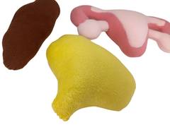 Órgãos pélvicos (útero, bexiga e intestino reto) - comprar online